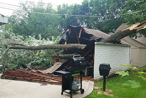 Large tree fallen on a garage after a storm